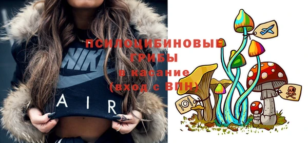 прущая мука Горно-Алтайск