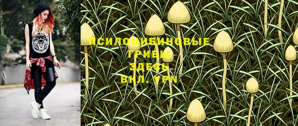 MDMA Горняк